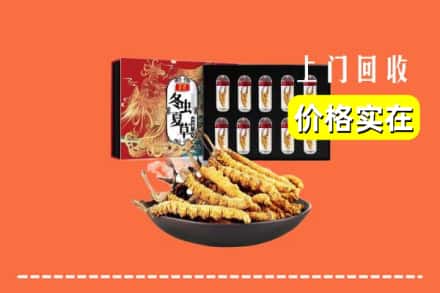 莘县回收冬虫夏草